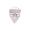 Factory direct supply of triangle velvet box with customizable logo